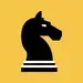 Chess Knight