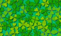 Lucky Clover